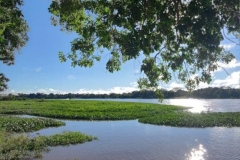 porto jofre pantanal