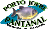 Porto Jofre Pantanal
